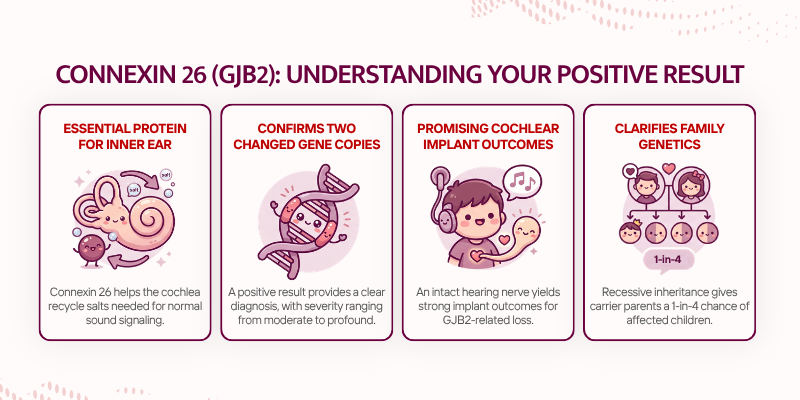 How Genetic Testing for Hearing Loss - Connexin 26 (GJB2)